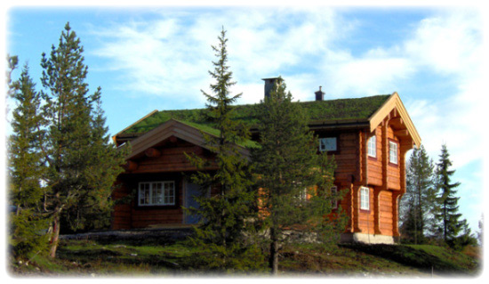 Traditional Scandinavian Wooden House